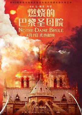 燃烧的巴黎圣母院[电影解说]在线观看