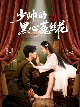 少帅的黑心菟丝花在线观看