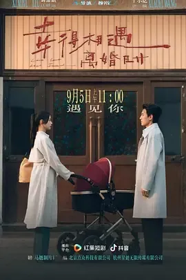 幸得相遇离婚时在线观看