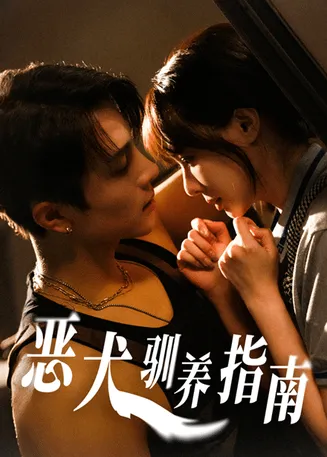 恶犬驯养指南在线观看
