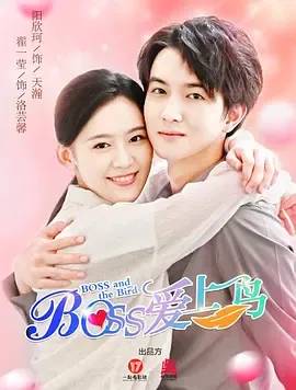 Boss爱上鸟在线观看