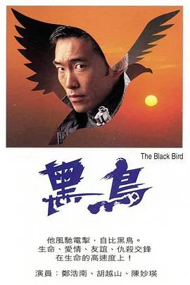 黑鸟粤语在线观看