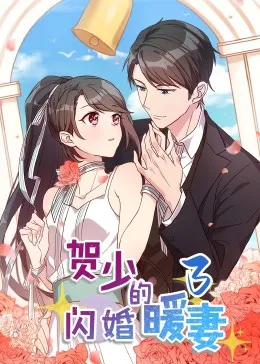 贺少的闪婚暖妻·动态漫第三季在线观看