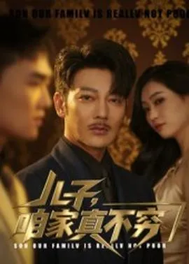 儿子咱家真不穷在线观看