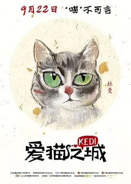爱猫之城在线观看