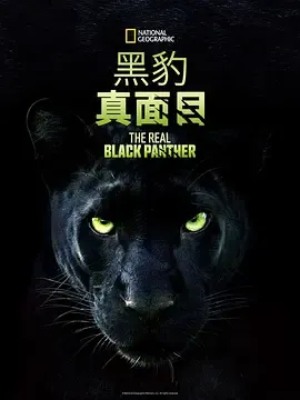 真黑豹无双在线观看