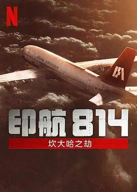 印航814：坎大哈之劫[电影解说]在线观看
