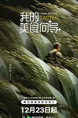 我的美食向导在线观看
