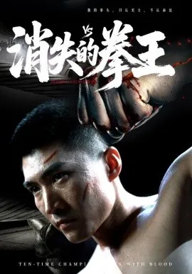 消失的拳王在线观看