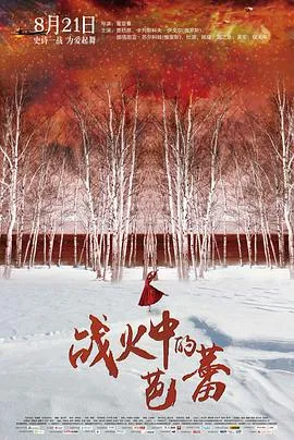 战火中的芭蕾[电影解说]在线观看