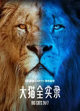 大猫全实录在线观看