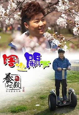周游关西在线观看
