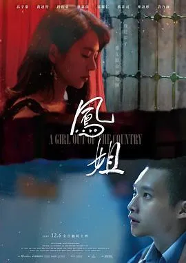 凤姐[电影解说]在线观看