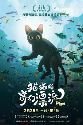 猫猫的奇幻漂流[电影解说]在线观看