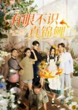 有眼不识真锦鲤在线观看