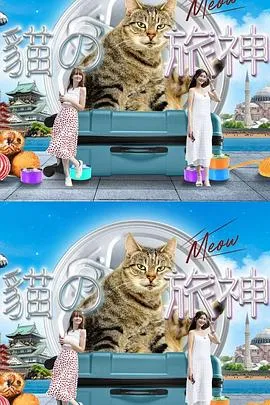 猫之旅神在线观看