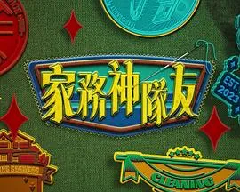 家务神队友在线观看