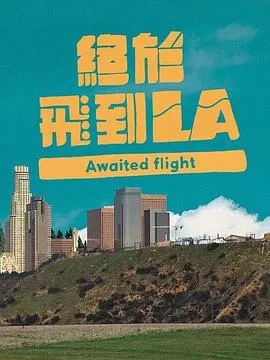终于飞到LA在线观看