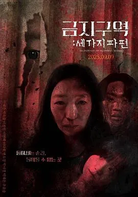 禁区：三个碎片在线观看
