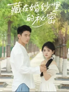 藏在婚纱里的秘密在线观看