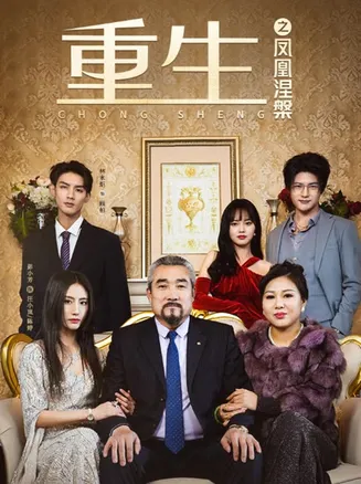 重生之凤凰涅槃在线观看