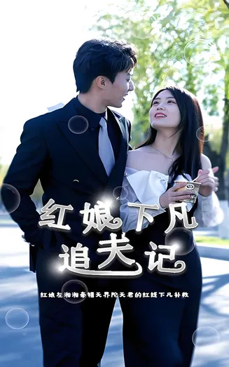 红娘下凡追夫记在线观看
