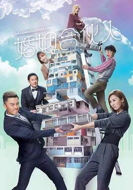 婚姻合伙人国语在线观看