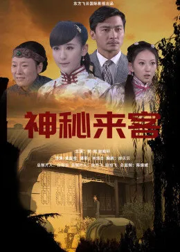 神秘来客2014在线观看
