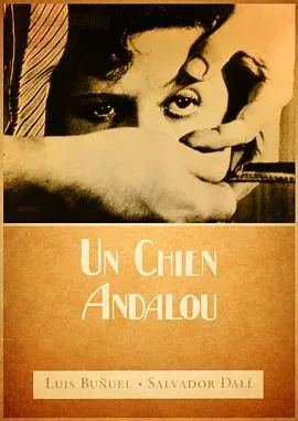 一条安达鲁狗在线观看