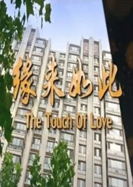 缘来如此2017在线观看