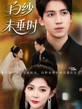 老婆婚礼我当证婚人在线观看