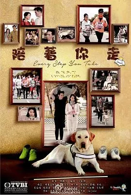 陪着你走2015在线观看