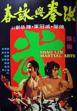 洪拳与咏春在线观看