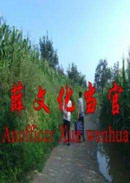 薛文化当官记在线观看