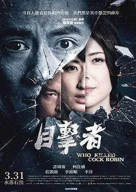 目击者之追凶在线观看
