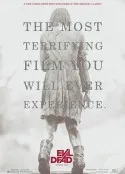 鬼玩人 Evil Dead (2013)在线观看