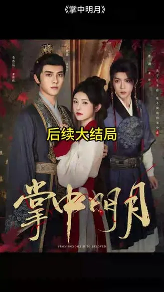 掌中明月在线观看