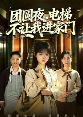 团圆夜，电梯不让我进家门在线观看
