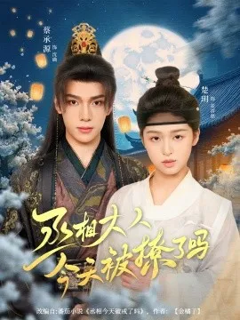 丞相大人今天被撩了吗在线观看