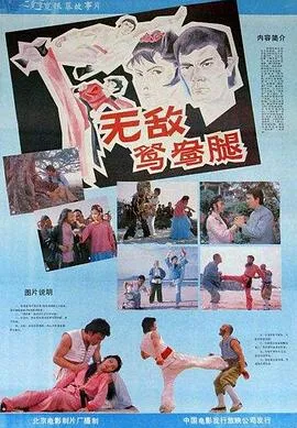 无敌鸳鸯腿[电影解说]在线观看