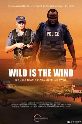 狂风飒飒 Wild is the Wind[电影解说]在线观看