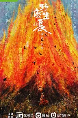 野蛮生长[电影解说]在线观看