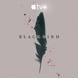 黑鸟 Black Bird[电影解说]在线观看