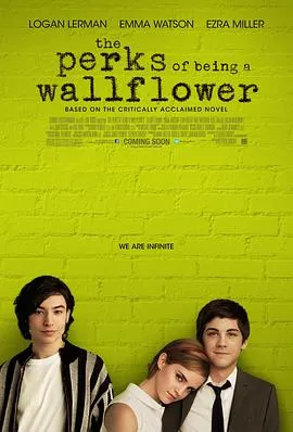 壁花少年 The Perks of Being a Wallflower[电影解说]在线观看