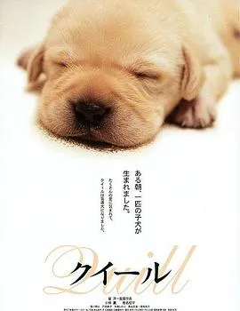 导盲犬小Q クイール[电影解说]在线观看