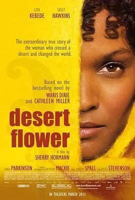 沙漠之花 Desert Flower[电影解说]在线观看