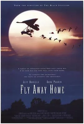 伴你高飞 Fly Away Home[电影解说]在线观看