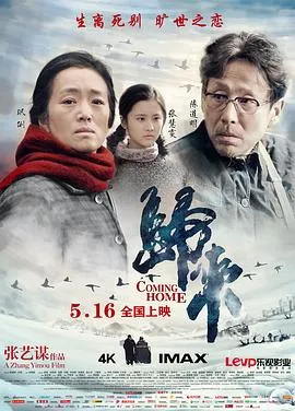 归来[电影解说]在线观看