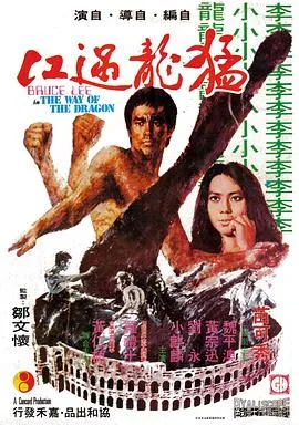 猛龙过江 猛龍過江[电影解说]在线观看