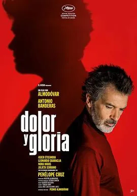 痛苦与荣耀 Dolor y gloria[电影解说]在线观看